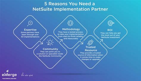 netsuite norge|Leading NetSuite Partner In Norway .